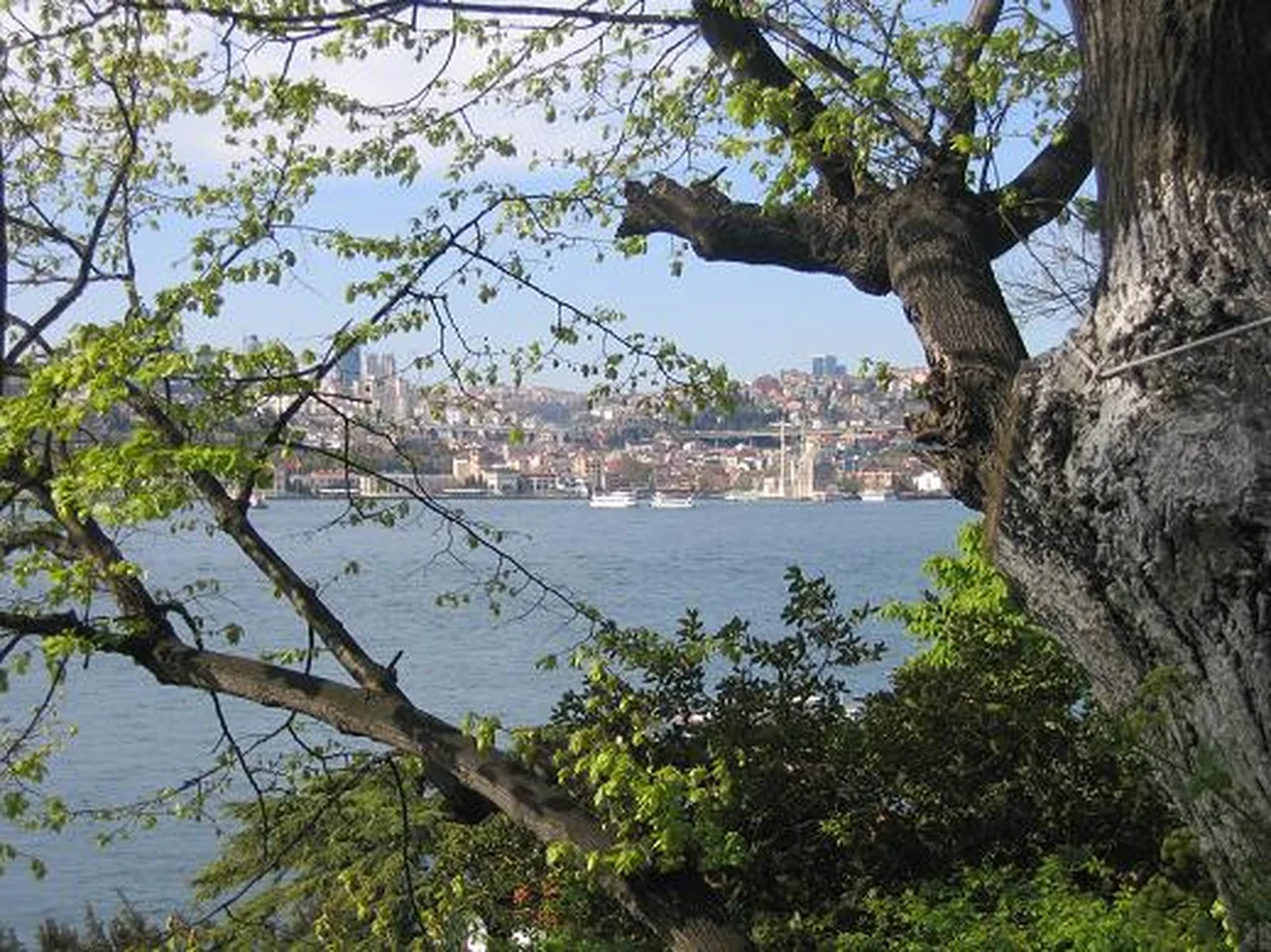 Fethi Paşa Korusu düğün ve nikâh organizasyonu